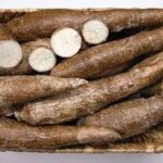 Casava per kg