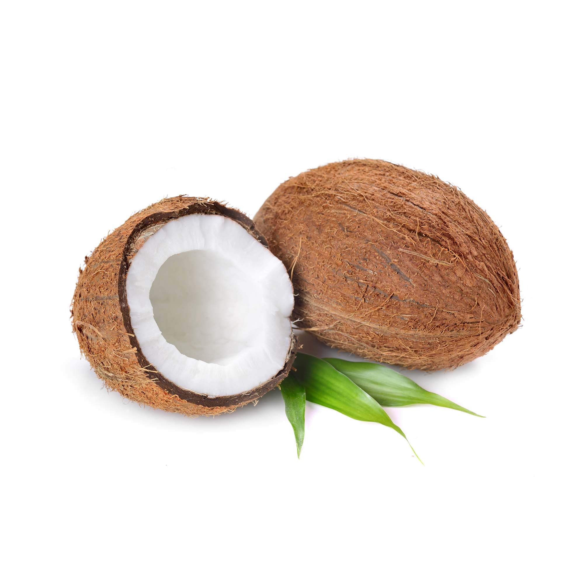Fresh coconut Fresh coconut - Image 1