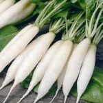 Mooli per kg