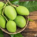 Raw mangos per kg